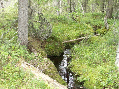 P6080351
