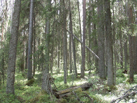 P6080354