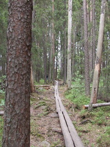 P6080384