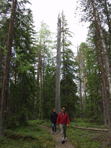 P6080390