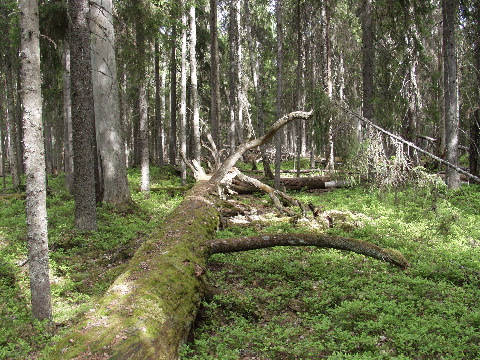 P6080395