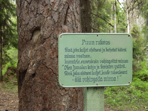 P6080400